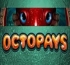 Octopays (Осьминог)