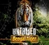 Untamed Bengal Tiger (Тигр)
