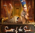 Secrets Of The Sand