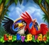 Lucky Birds (Попугаи)