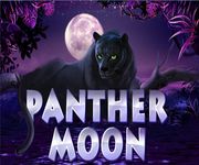 Игровой автомат Panther Moon Игровой автомат Panther Moon