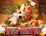 Игровой автомат Wild Hunter (Дикий охотник) Игровой автомат Wild Hunter (Дикий охотник)