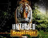 Игровой автомат Untamed Bengal Tiger (Тигр) Игровой автомат Untamed Bengal Tiger (Тигр)