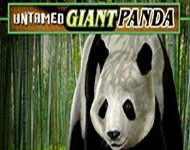 Игровой автомат Untamed Giant Panda (Панда) Игровой автомат Untamed Giant Panda (Панда)