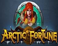 Игровой автомат Arctic Fortune Игровой автомат Arctic Fortune