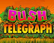 Игровой автомат Bush Telegraph Игровой автомат Bush Telegraph